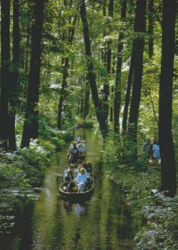 Bootsfahrt im Spreewald